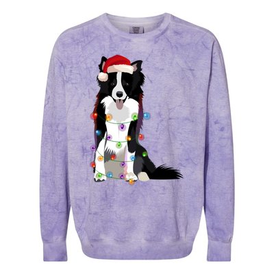 Border Collie Christmas Lights Xmas Dog Lover Cute Gift Colorblast Crewneck Sweatshirt