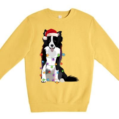 Border Collie Christmas Lights Xmas Dog Lover Cute Gift Premium Crewneck Sweatshirt