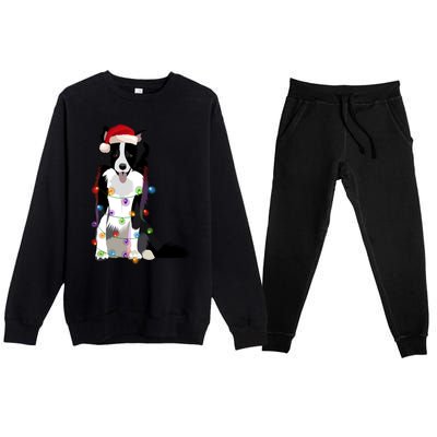 Border Collie Christmas Lights Xmas Dog Lover Cute Gift Premium Crewneck Sweatsuit Set