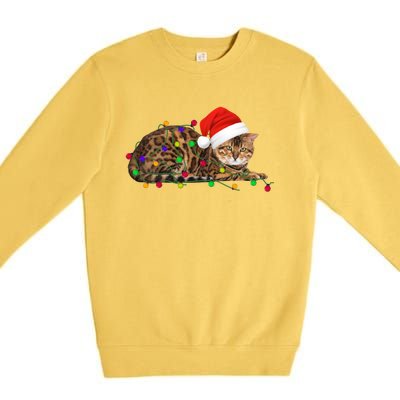 Bengal Cat Christmas Lights Xmas Cat Lover Great Gift Premium Crewneck Sweatshirt