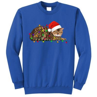 Bengal Cat Christmas Lights Xmas Cat Lover Great Gift Sweatshirt