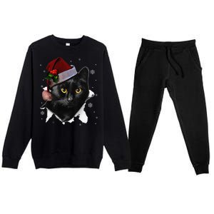 Black Cat Christmas Santa Hat Funny Cat Lover Christmas Premium Crewneck Sweatsuit Set