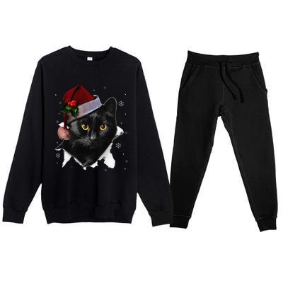 Black Cat Christmas Santa Hat Funny Cat Lover Christmas Premium Crewneck Sweatsuit Set