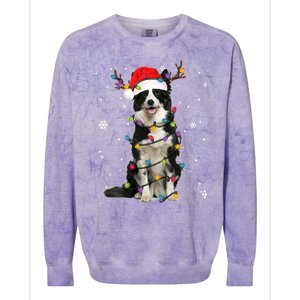 Border Collie Christmas Santa Xmas Lights Dog Lover Gift Colorblast Crewneck Sweatshirt