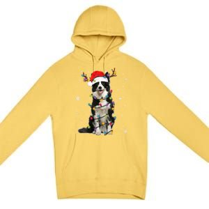 Border Collie Christmas Santa Xmas Lights Dog Lover Gift Premium Pullover Hoodie