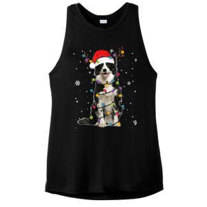 Border Collie Christmas Santa Xmas Lights Dog Lover Gift Ladies PosiCharge Tri-Blend Wicking Tank