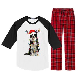 Border Collie Christmas Santa Xmas Lights Dog Lover Gift Raglan Sleeve Pajama Set