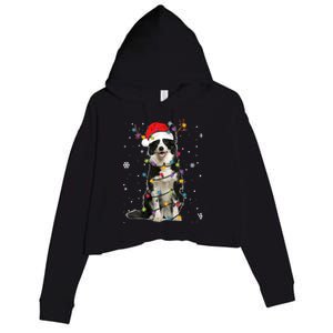 Border Collie Christmas Santa Xmas Lights Dog Lover Gift Crop Fleece Hoodie