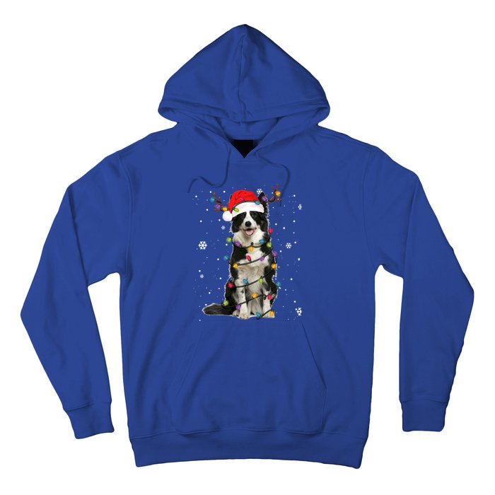 Border Collie Christmas Santa Xmas Lights Dog Lover Gift Hoodie