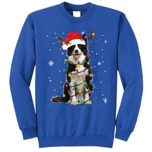 Border Collie Christmas Santa Xmas Lights Dog Lover Gift Sweatshirt