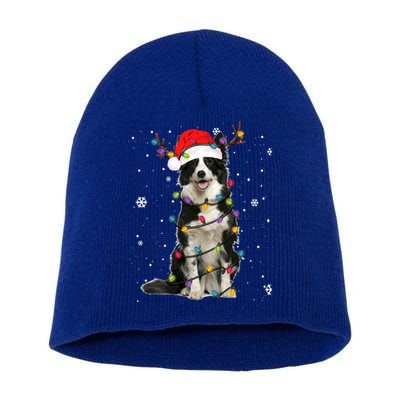 Border Collie Christmas Santa Xmas Lights Dog Lover Gift Short Acrylic Beanie
