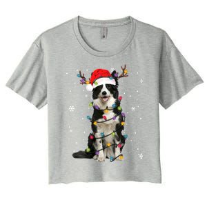 Border Collie Christmas Santa Xmas Lights Dog Lover Gift Women's Crop Top Tee