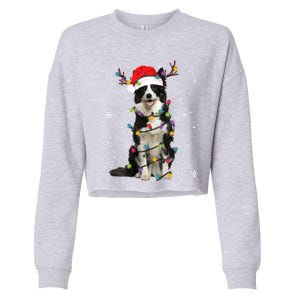 Border Collie Christmas Santa Xmas Lights Dog Lover Gift Cropped Pullover Crew