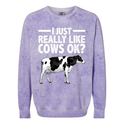 Best Cow Design Cattle Farming Dairy Cow Lover Colorblast Crewneck Sweatshirt