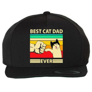 Best Cat Dad Ever Funny Cat Daddy Father Day Gift Wool Snapback Cap