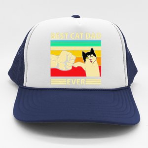 Best Cat Dad Ever Funny Cat Daddy Father Day Gift Trucker Hat