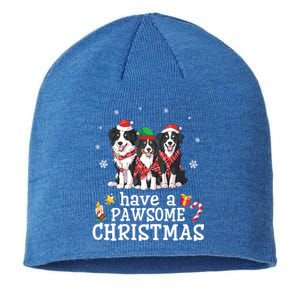 Border Collie Dogs Merry Mom Dad Have A Pawsome Christmas Cute Gift Sustainable Beanie