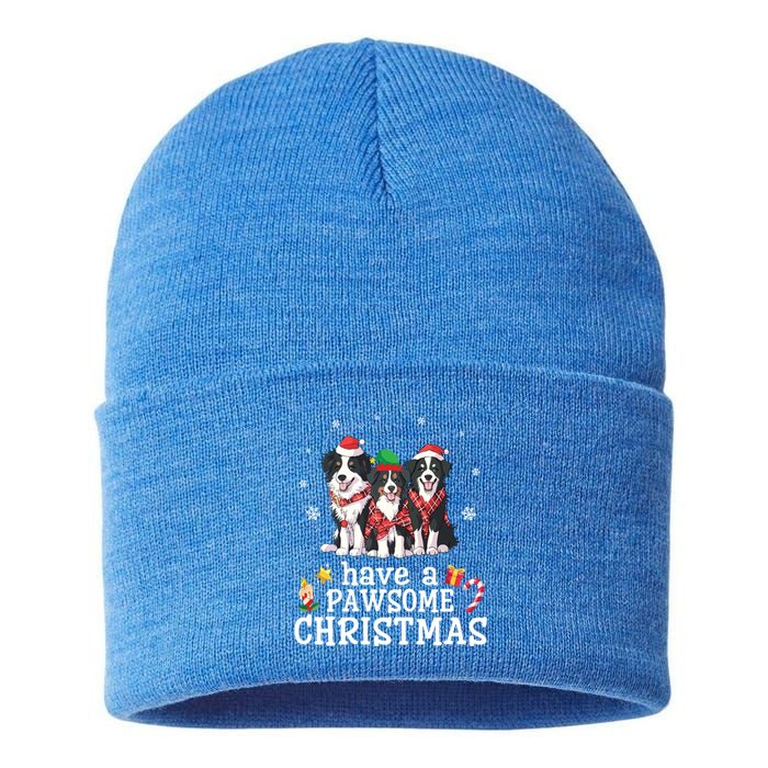 Border Collie Dogs Merry Mom Dad Have A Pawsome Christmas Cute Gift Sustainable Knit Beanie