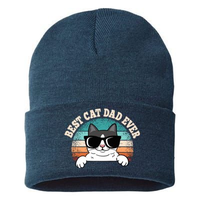 Best Cat Dad Ever Cat Lover Cat Owner Sustainable Knit Beanie