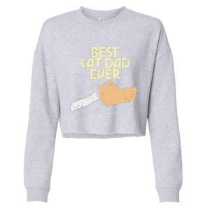 Best Cat Dad Ever Funny Kitten Pet Lover Owner Dad Gift Cropped Pullover Crew