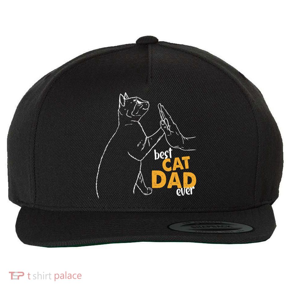 Best Cat Dad Ever Cat Daddy Father Cat Lovers Cat Dad Cute Gift Wool Snapback Cap