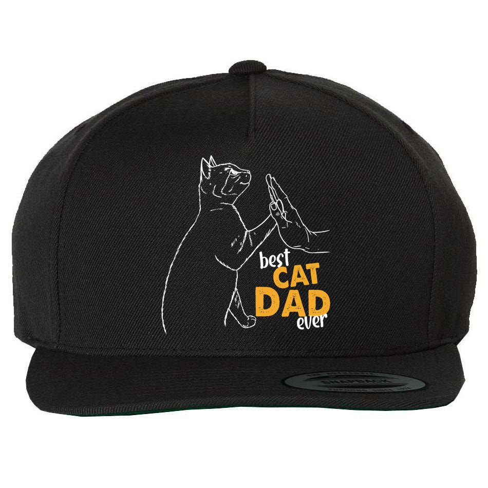 Best Cat Dad Ever Cat Daddy Father Cat Lovers Cat Dad Cute Gift Wool Snapback Cap