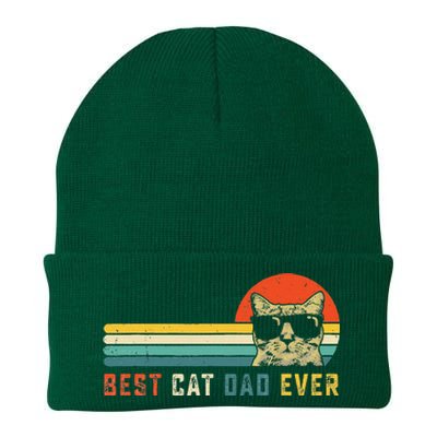 Best Cat Dad Ever FatherS Day Gift Cat Daddy Knit Cap Winter Beanie