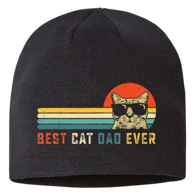 Best Cat Dad Ever FatherS Day Gift Cat Daddy Sustainable Beanie