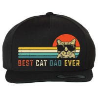 Best Cat Dad Ever FatherS Day Gift Cat Daddy Wool Snapback Cap