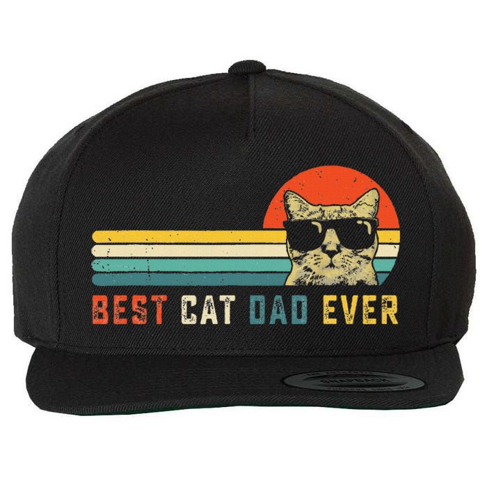 Best Cat Dad Ever FatherS Day Gift Cat Daddy Wool Snapback Cap