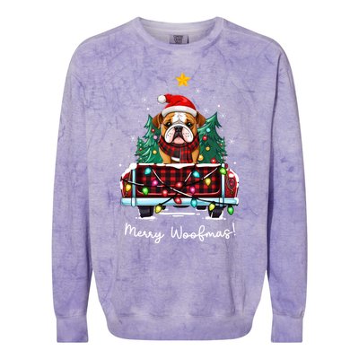 Bulldog Christmas Dog Truck Plaid Funny Xmas Tree Gift Colorblast Crewneck Sweatshirt