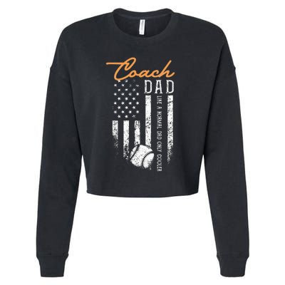 Baseball Coach Dad Like A Normal Dad Only Cooler USA Flag Cropped Pullover Crew