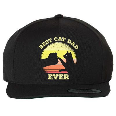 Best Cat Dad Ever Cute Cat Lover Wool Snapback Cap