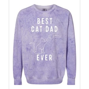 Best Cat Dad Ever Cat Daddy Paw Fist Bump Meow Cat Colorblast Crewneck Sweatshirt