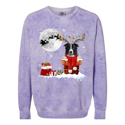 Border Collie Dog Chimney Ugly Christmas Lights Xmas Pajamas Funny Gift Colorblast Crewneck Sweatshirt