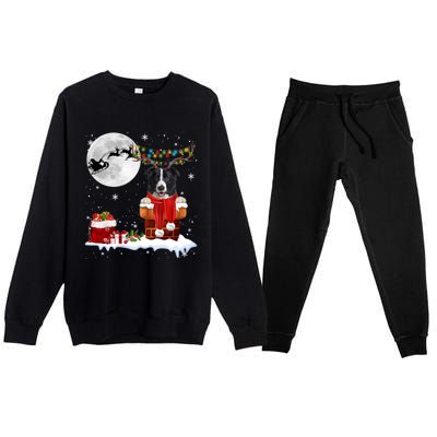 Border Collie Dog Chimney Ugly Christmas Lights Xmas Pajamas Funny Gift Premium Crewneck Sweatsuit Set