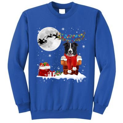 Border Collie Dog Chimney Ugly Christmas Lights Xmas Pajamas Funny Gift Sweatshirt