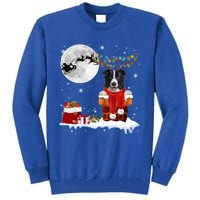 Border Collie Dog Chimney Ugly Christmas Lights Xmas Pajamas Funny Gift Tall Sweatshirt