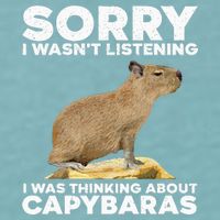 Best Capybara Design For Pet Rodent Capybara Sueded Cloud Jersey T-Shirt
