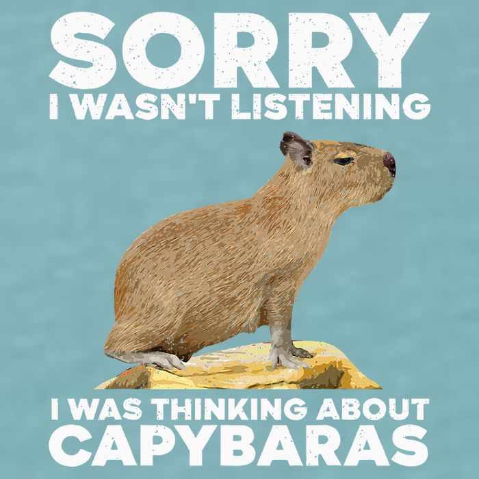 Best Capybara Design For Pet Rodent Capybara Sueded Cloud Jersey T-Shirt