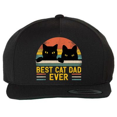 Best Cat Dad Ever Vintage Retro Style Black Cats Lover TShirt Wool Snapback Cap