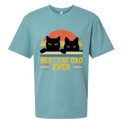 Best Cat Dad Ever Vintage Retro Style Black Cats Lover TShirt Sueded Cloud Jersey T-Shirt