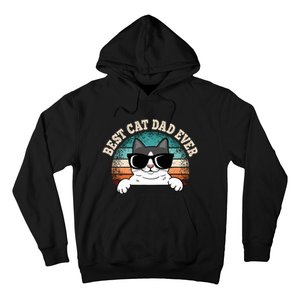 Best Cat Dad Ever Cat Lover Cat Owner Hoodie