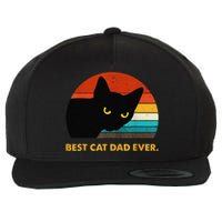 Best Cat Dad Ever Funny Black Cat Daddy Vintage Fathers Day Wool Snapback Cap