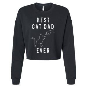 Best Cat Dad Ever Cat Daddy Paw Fist Bump Meow Cat Cropped Pullover Crew