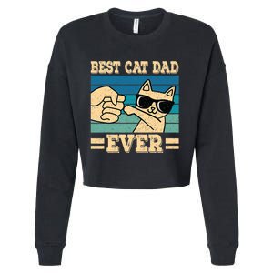 Best Cat Dad Ever Funny Cat Retro Men Cropped Pullover Crew