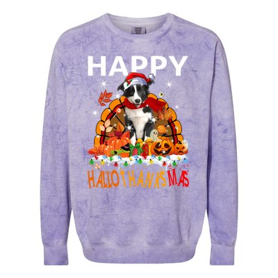 Border Collie Dog Halloween Thanksgiving Xmas Hallothanksmas Gift Colorblast Crewneck Sweatshirt