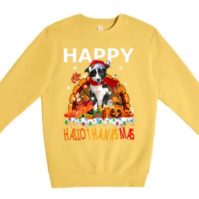 Border Collie Dog Halloween Thanksgiving Xmas Hallothanksmas Gift Premium Crewneck Sweatshirt