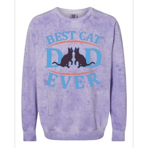 Best Cat Dad Ever Colorblast Crewneck Sweatshirt