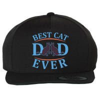 Best Cat Dad Ever Wool Snapback Cap